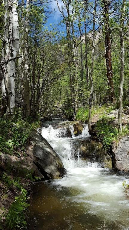 Ferienwohnung The Getaway,Hot Tub, Ac, 2Miles From Rmnp Estes Park Exterior foto